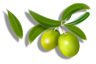 olives_PNG14292